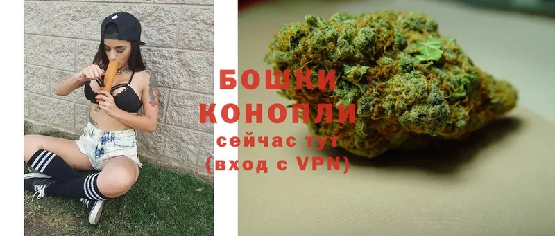 купить наркоту  Балахна  мега ссылки  Канабис Ganja 